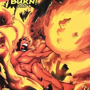 Human Torch #4 (2003)